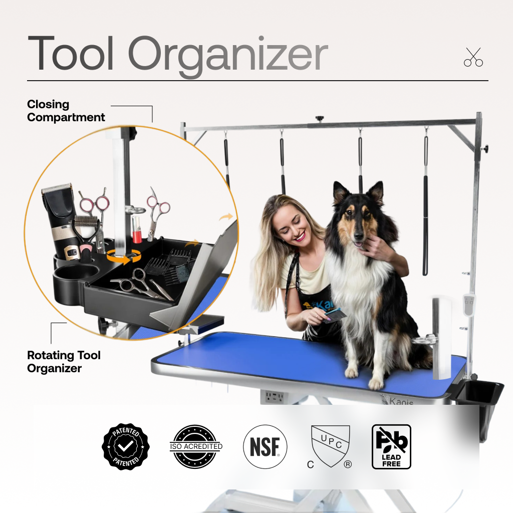 Professional Electric Dog Grooming Table