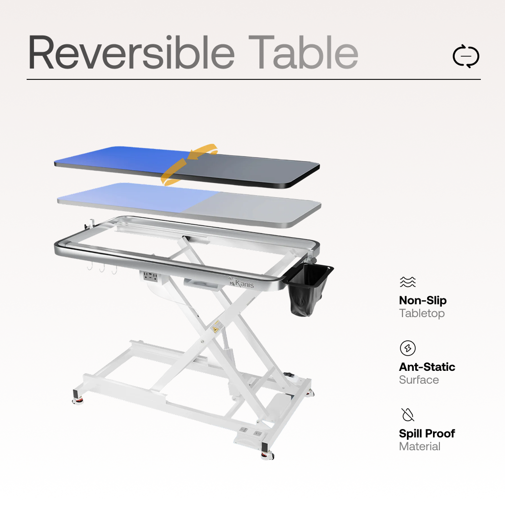 Professional Electric Dog Grooming Table