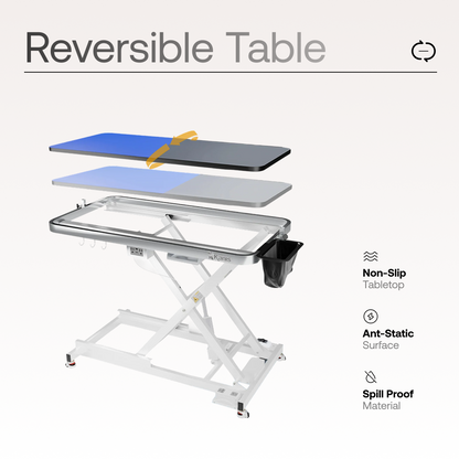 Professional Electric Dog Grooming Table