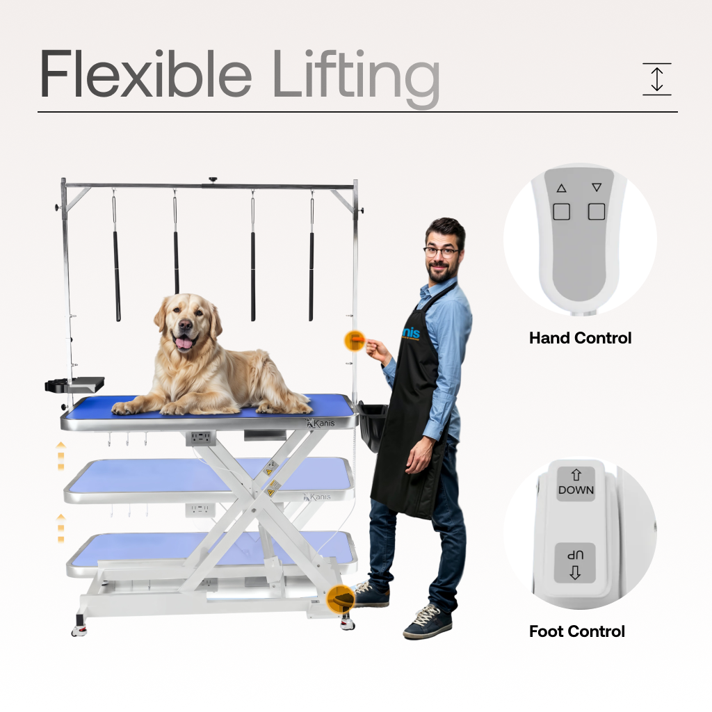 Professional Electric Dog Grooming Table