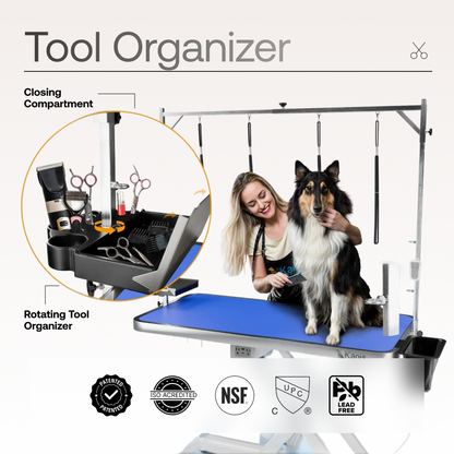 Professional Electric Dog Grooming Table