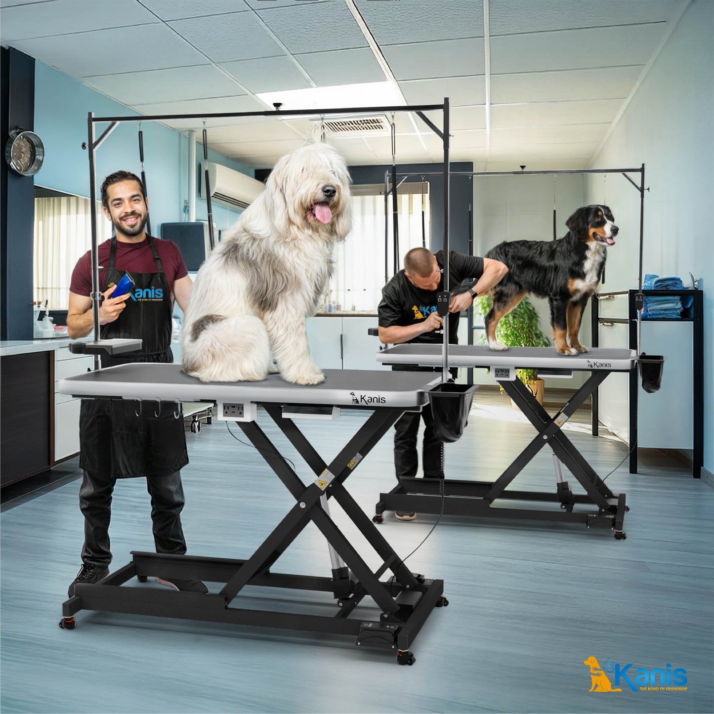 KANIS - Professional Electric Dog Grooming Table
