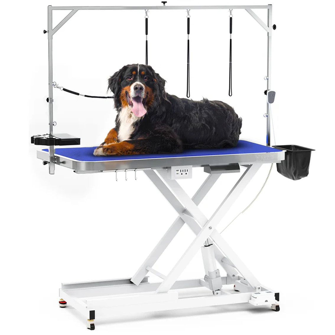 Professional Electric Dog Grooming Table