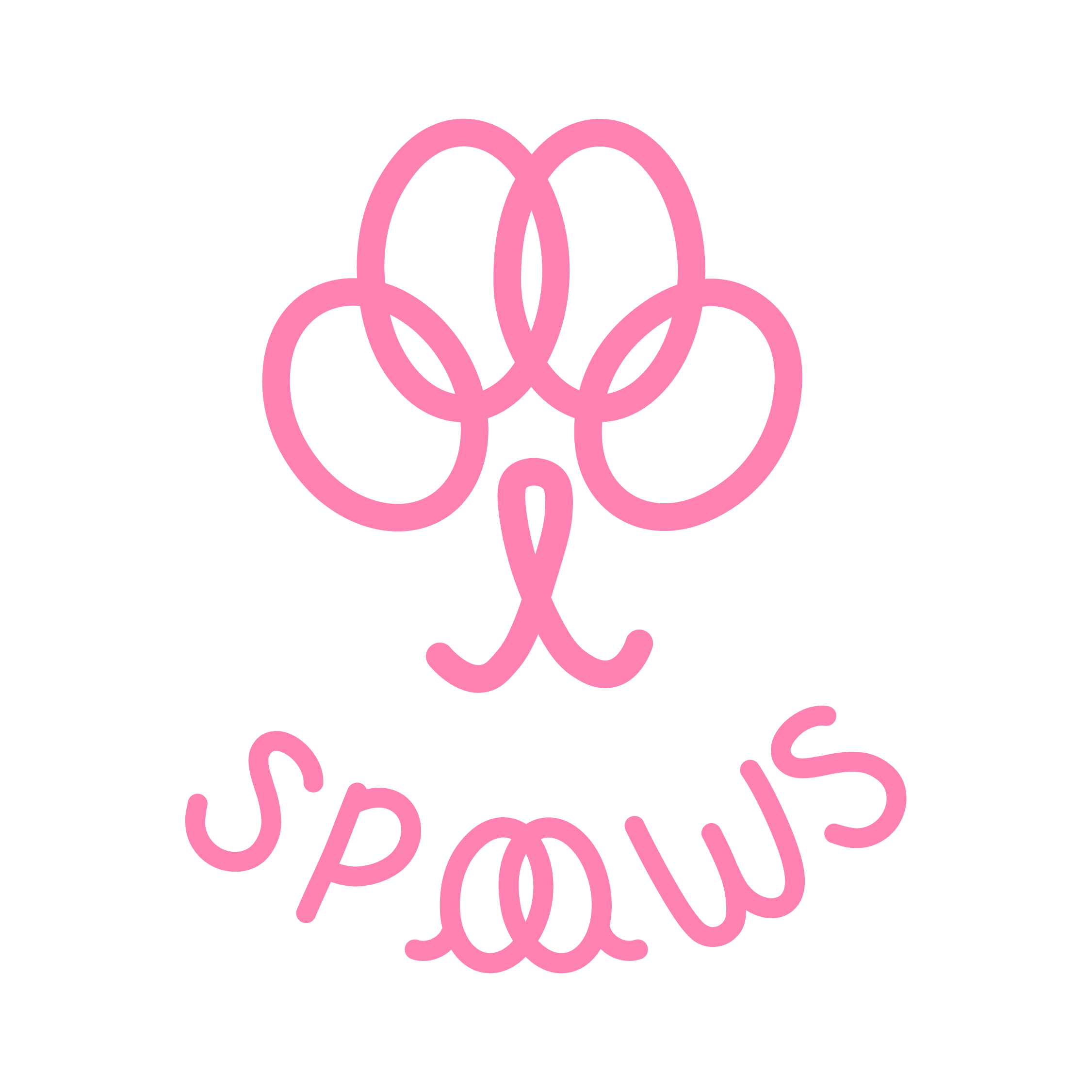 files/SPAAWS-02.png