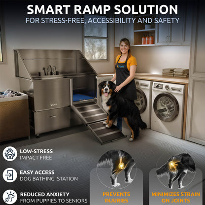 KANIS - Professional Stainless Steel Dog Bathing Station