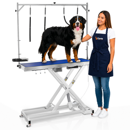 KANIS - Professional Electric Dog Grooming Table