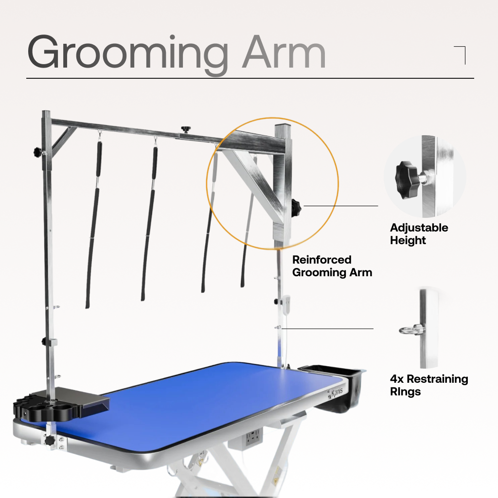 Professional Electric Dog Grooming Table