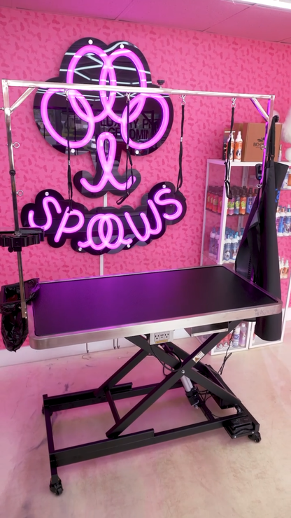 KANIS - Professional Electric Dog Grooming Table