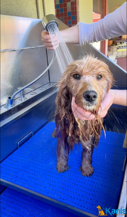 KANIS - Professional Stainless Steel Dog Bathing Station
