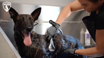 KANIS - Professional Stainless Steel Dog Bathing Station